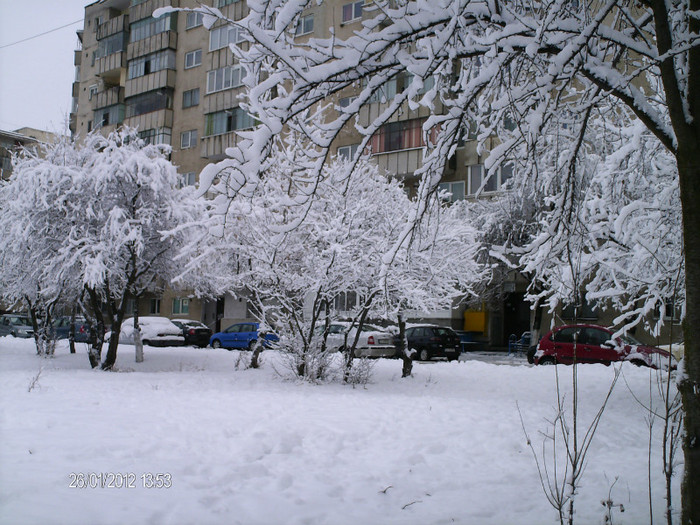 ianuarie- 042 - iarna_2012