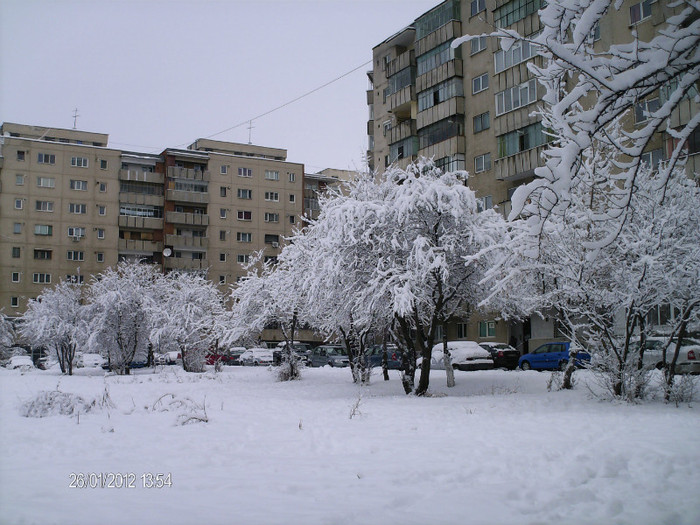 ianuarie- 044 - iarna_2012