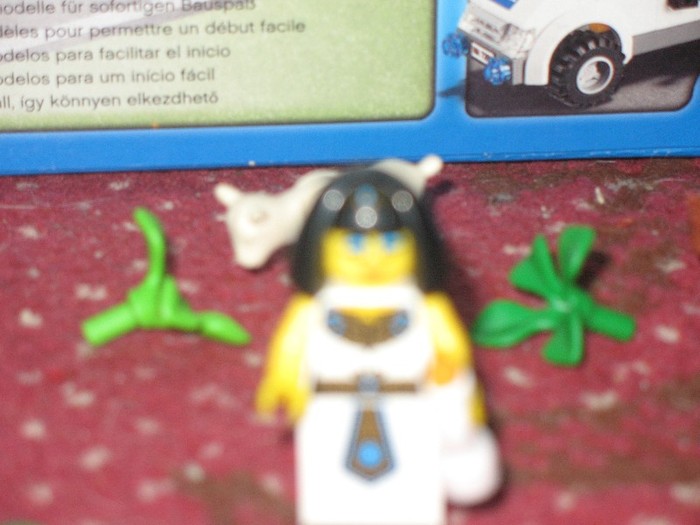 IMG_0026 - Colectia MeA De LEGO