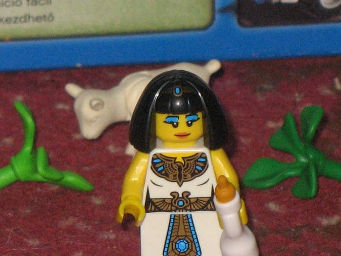 IMG_0028 - Colectia MeA De LEGO