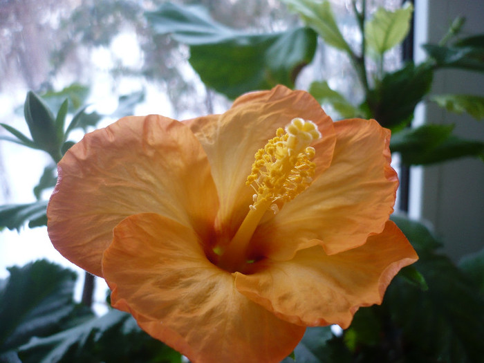 P1110355