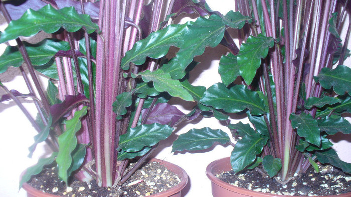 P1020837