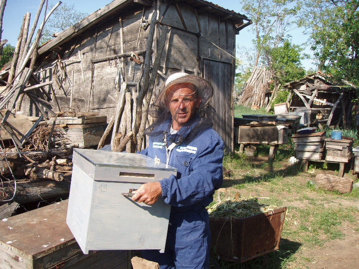 Gore B; Primul contact cu apicultura
