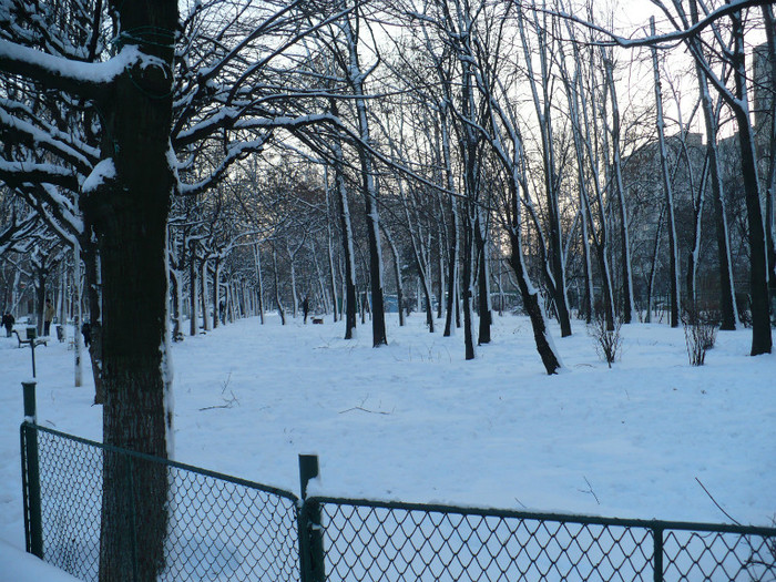Parcul Moghioros 28 ian - Iarna in Bucuresti 2012