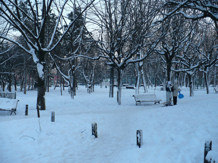 P1370010 - Iarna in Bucuresti 2012