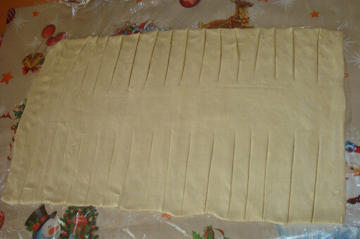 FOAIA DE PLACINTA LINCO