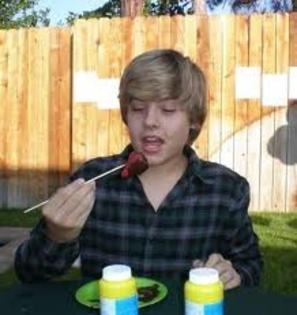 dy - Dylan Sprouse