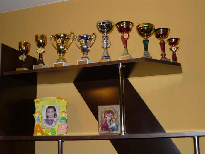 P1050074 - Trofee castigate pe clubul Strejnic in 2011