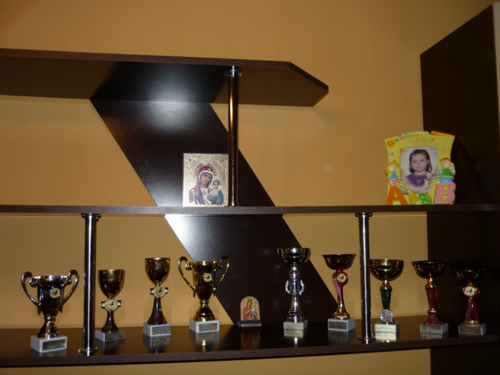 P1050051 - Trofee castigate pe clubul Strejnic in 2011