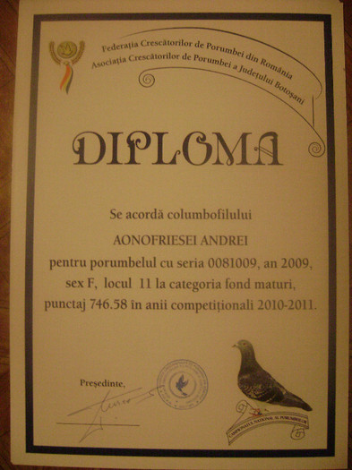 17 - diplome si cupe