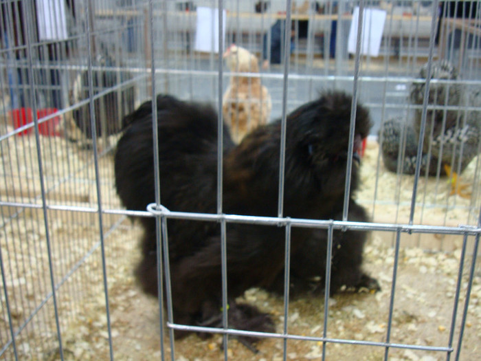 DSC08500