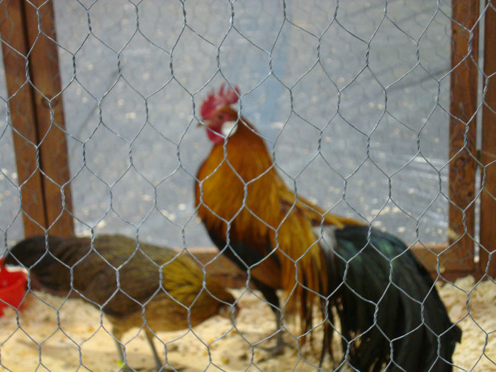 DSC08514