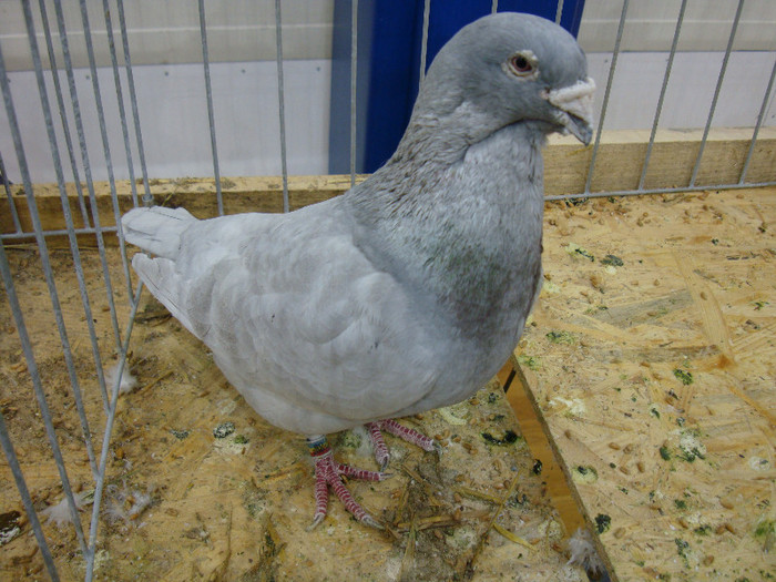 DSC08551