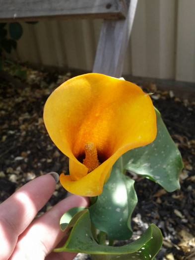 29.01.12 Cala - Diverse