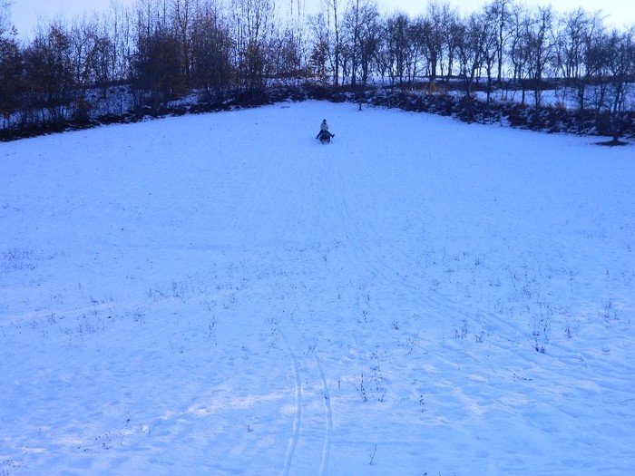 Picture 070