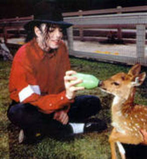 IUOMXOYVWJEBQCIDLSI - michael jackson