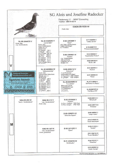 3 - pedigree porumbei