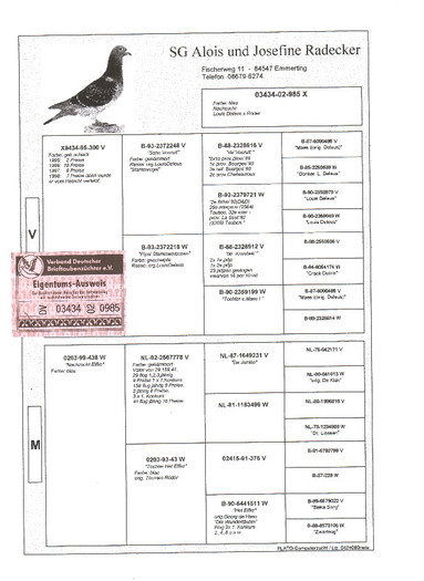 7 - pedigree porumbei