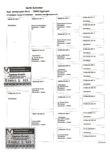 11 - pedigree porumbei