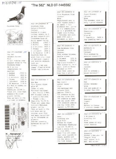 15 - pedigree porumbei