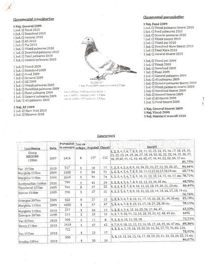 Cont.  17 - pedigree porumbei