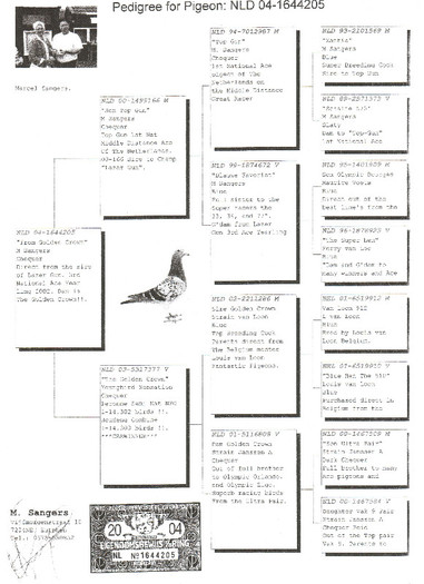 18 - pedigree porumbei