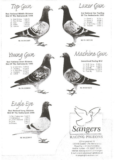 Cont.18 - pedigree porumbei