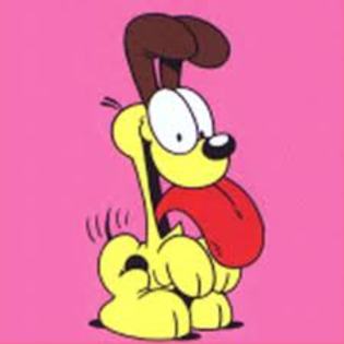 odie - Garfiled