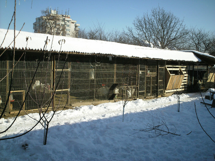 IMG_0045 februarie 2012