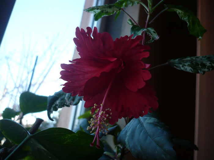 P1110386
