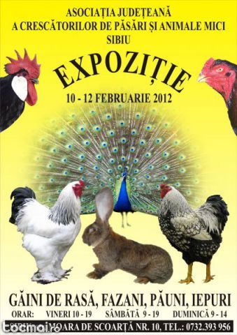 gaini expozitie 2012