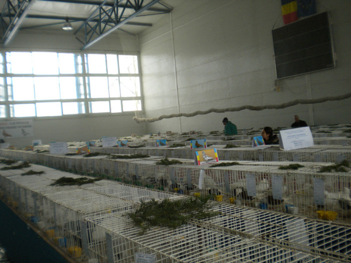 brasov 2012 095 - EXPO BRASOV 2012
