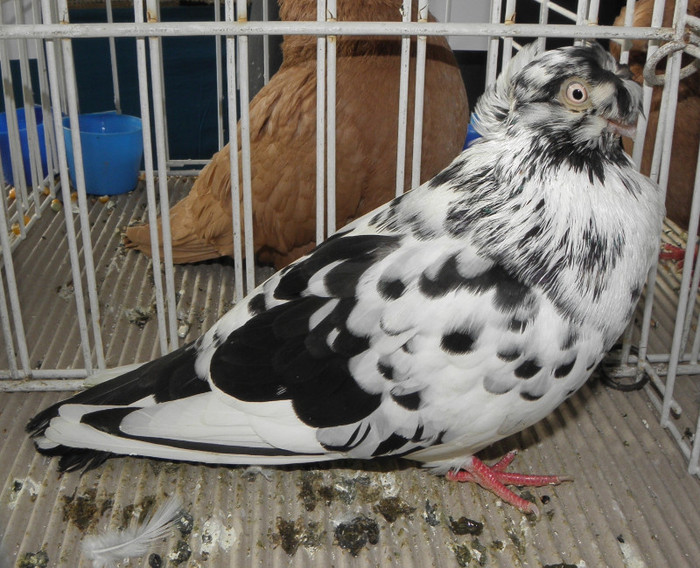 P1280302
