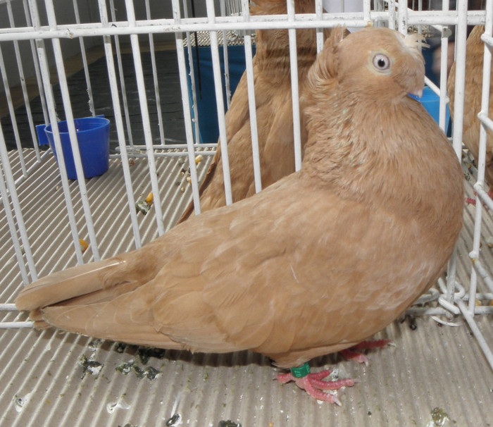 P1280314