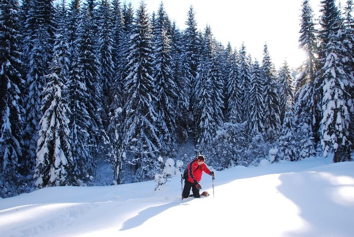 DSC_0037 - CATEUL BEAGLE PE MUNTE