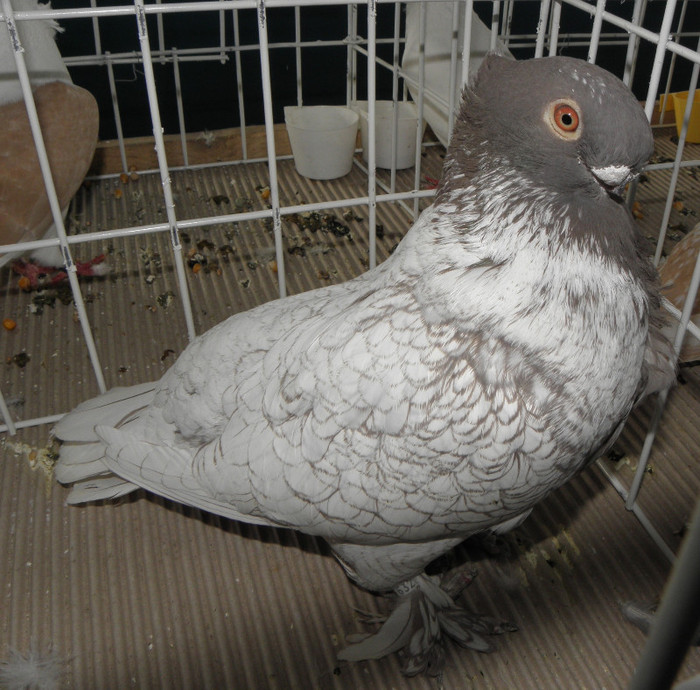 P1280112
