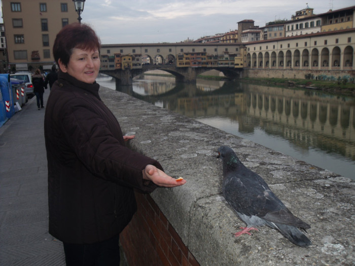 Picture 213 - NATALE A FIRENZE 2011