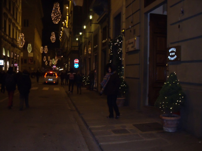 Picture 229 - NATALE A FIRENZE 2011