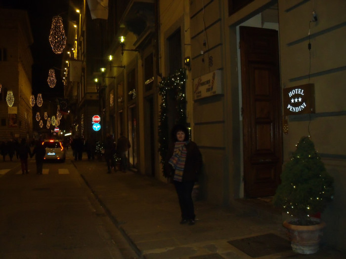 Picture 230 - NATALE A FIRENZE 2011