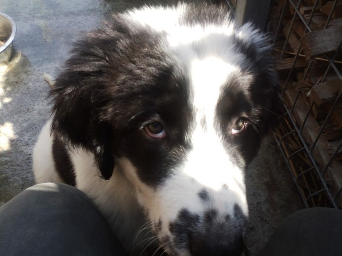 SPM_A0204; sora lui Bruno
