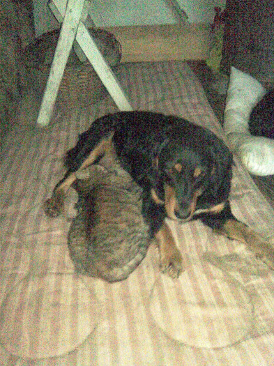 In timpul serviciului; In timpul serviciului
