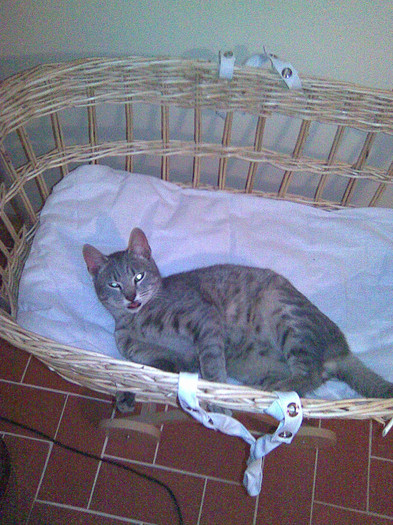 Ce bine eee!; Ce bine eee!
