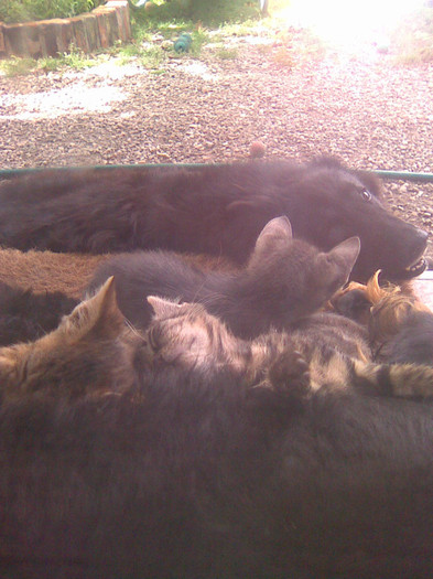 Imagine170; PRIETENI
