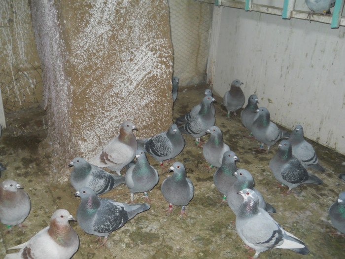 Picture 3554