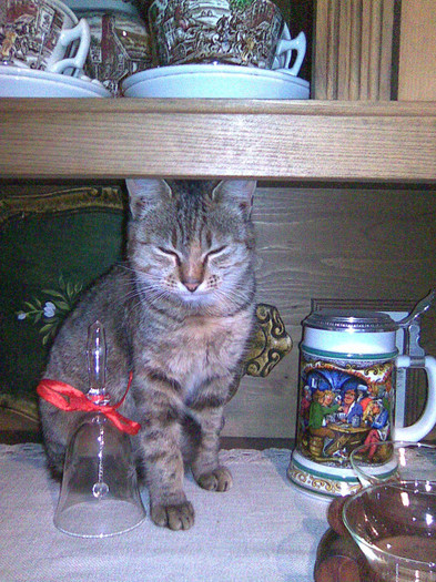 Imagine182; IMI STA BINE! NU?
