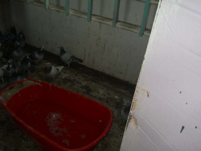 Picture 3559