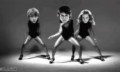 Harry Potter - Harry Potter Single Ladies