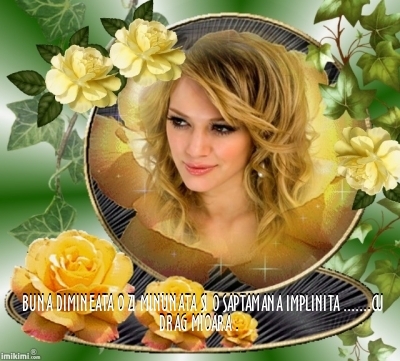 95567e2ab7f6b68f5fc517af6d9d598a