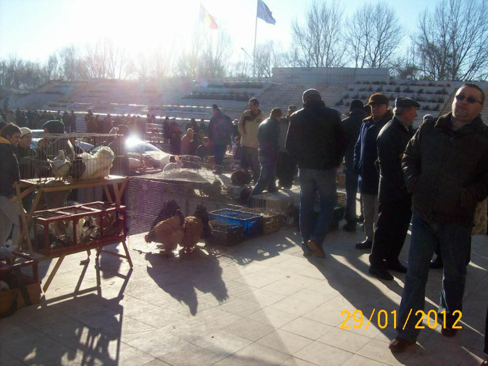 Picture 014 - EXPO SATU MARE 29 01 2012