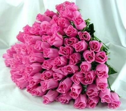 buchet-de-trandafiri-roz_ba6a57e9865923 - trandafiri NOU